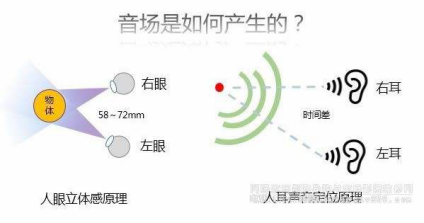 声音是怎么被定位的