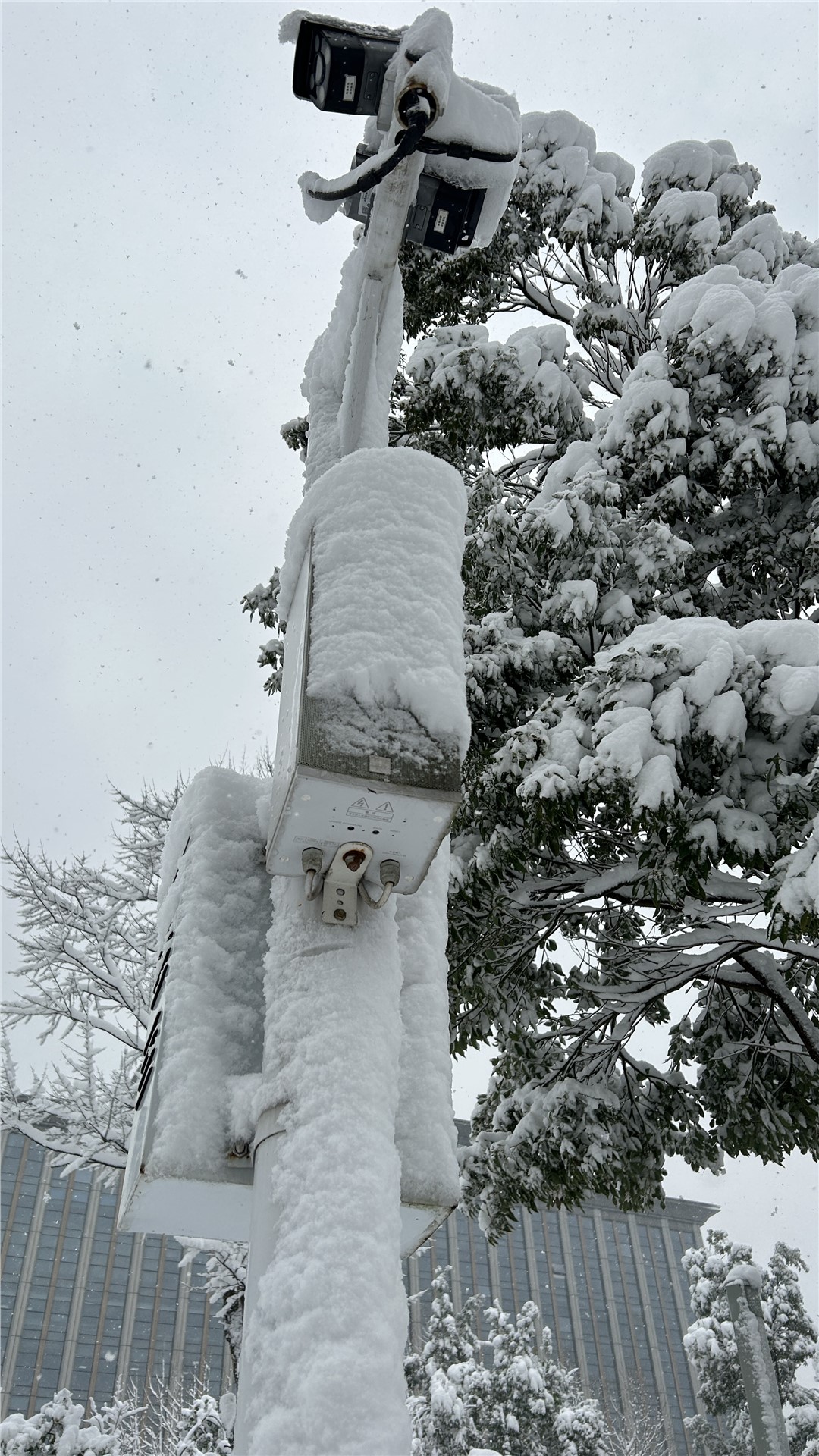 南方“小土豆”如何应对东北极寒?