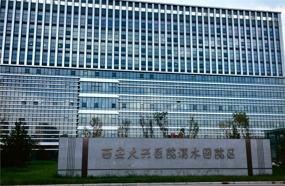 网络化架构与IP/无线规划——搭建零延迟的音频信息高速公路