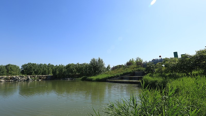 北京东郊湿地公园-采用世邦广播系统